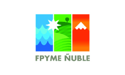 Fpyme Ñuble